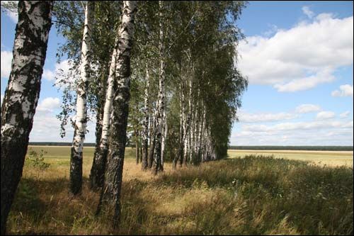 Charošaŭka. Landscapes 