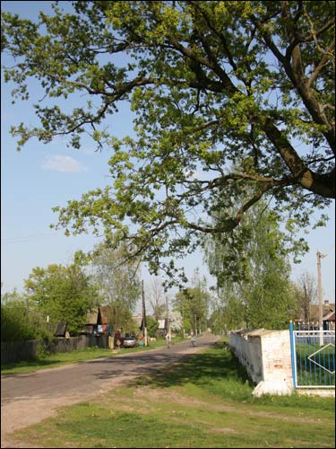Hodziczów. Krajobrazy 
