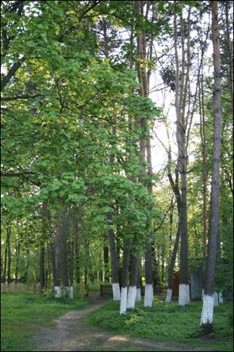  - Zespół dworsko-parkowy Paskiewiczów. W parku