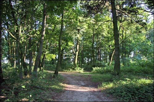 Staraja Bielica. Manor park 