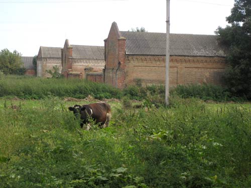  - Dwór Jastrzębskich. Dwór gospodarczy, fragment