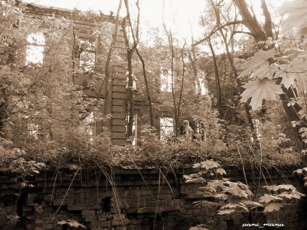 Rudaków. Dwór Wańkowiczów