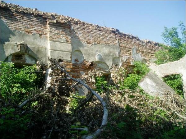 - Orthodox church of St. Nicholas (ruins). Fragment of the wall
