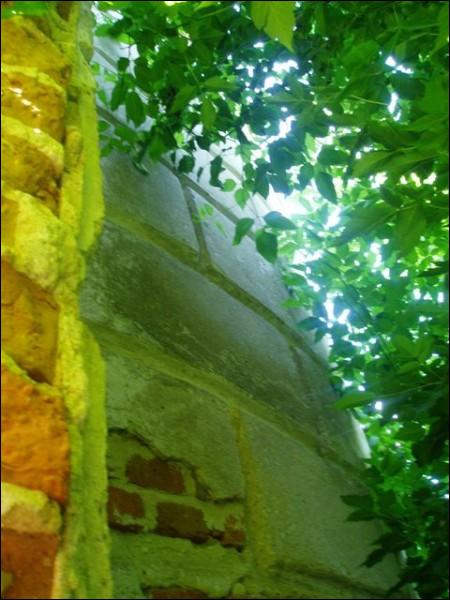  - Orthodox church of St. Nicholas (ruins). Fragment