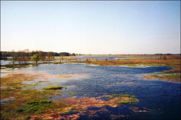 Lelczyce. Krajobrazy 