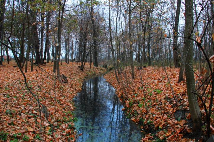 Brynieŭ. Manor park 