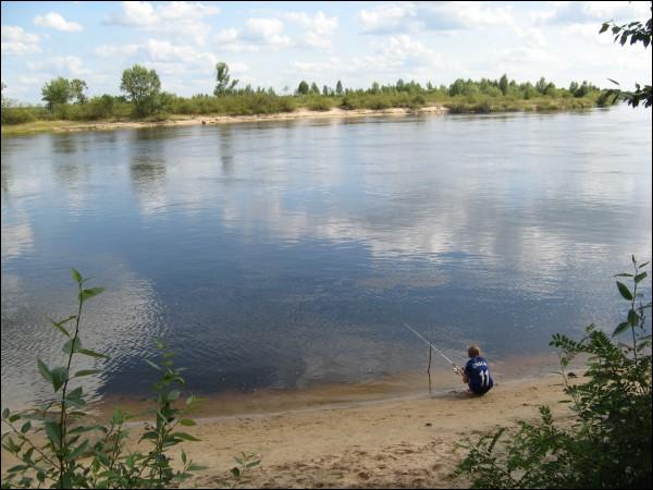 Petryków. Krajobrazy 