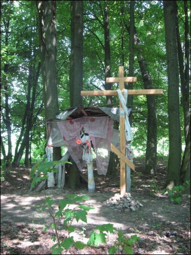 Szerścin. Krajobrazy 