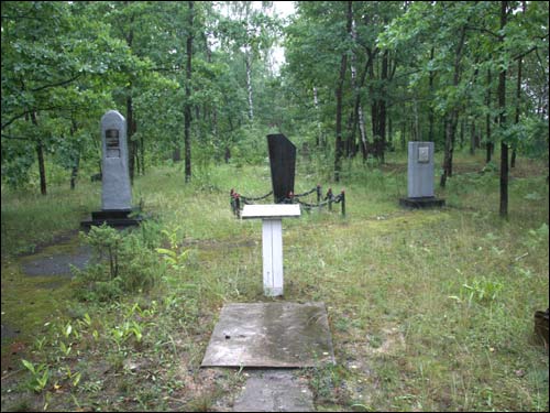 Cmentarz żydowski .   - Cmentarz żydowski.