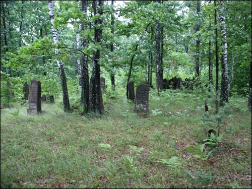 Cmentarz żydowski .   - Cmentarz żydowski.