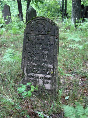 Cmentarz żydowski .   - Cmentarz żydowski.