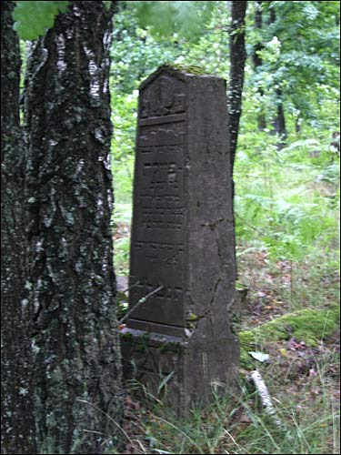 Cmentarz żydowski .   - Cmentarz żydowski.