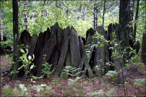 Cmentarz żydowski .   - Cmentarz żydowski.