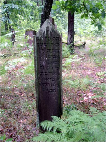 Cmentarz żydowski .   - Cmentarz żydowski.