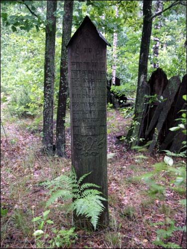 Cmentarz żydowski .   - Cmentarz żydowski.