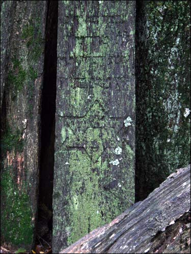 Cmentarz żydowski .   - Cmentarz żydowski.