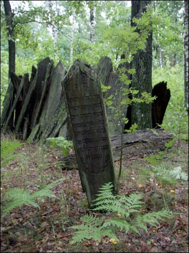 Cmentarz żydowski .   - Cmentarz żydowski.