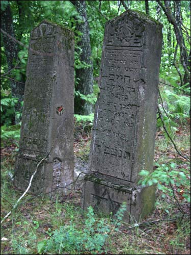 Cmentarz żydowski .   - Cmentarz żydowski.
