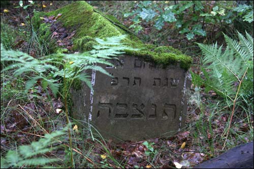 Cmentarz żydowski .   - Cmentarz żydowski.