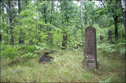Cmentarz żydowski .   - Cmentarz żydowski.