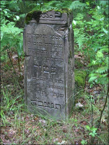 Cmentarz żydowski .   - Cmentarz żydowski.