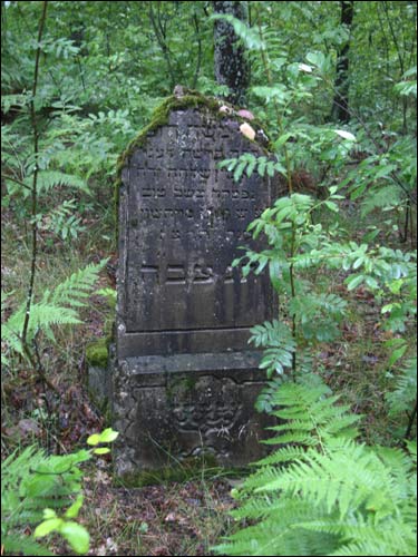 Cmentarz żydowski .   - Cmentarz żydowski.