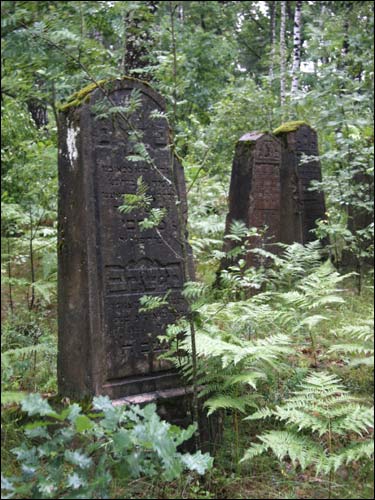 Cmentarz żydowski .   - Cmentarz żydowski.