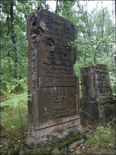 Cmentarz żydowski .   - Cmentarz żydowski.