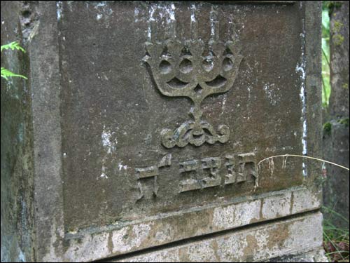 Cmentarz żydowski .   - Cmentarz żydowski.