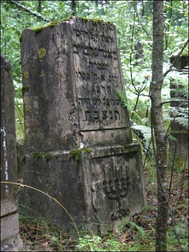 Cmentarz żydowski .   - Cmentarz żydowski.