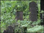 Lenina market town - cemetery Jewish Lenina market town - cemetery Jewish