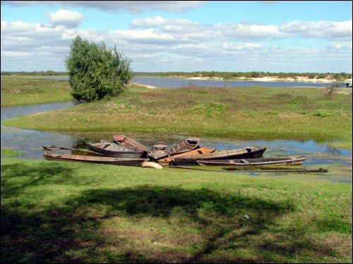 Пейзажи  Турове.   - Пейзажи .