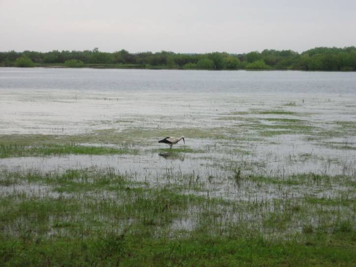 Krajobrazy  .   - Krajobrazy .