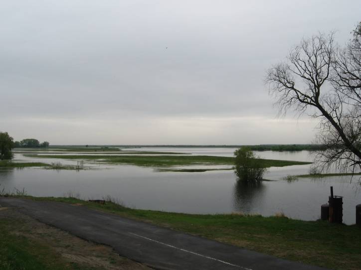 Krajobrazy  .   - Krajobrazy .