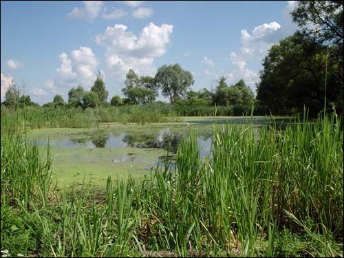 Старая Рудня. Краявіды 