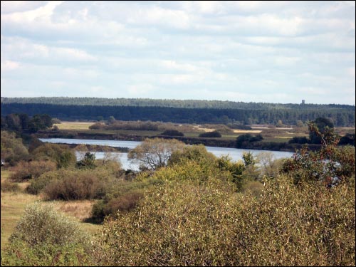 Žłobin. Town streets 