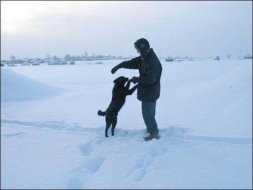 У вёсцы  Харомцах. Сабакі вельмі добрыя  - У вёсцы . Сабакі вельмі добрыя