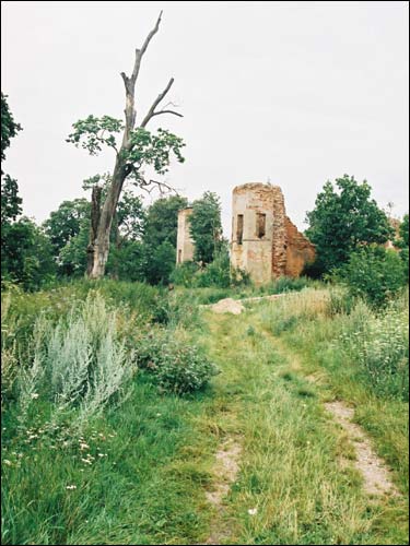  -  Замок Сапегов, руины. Вид на замок с запада