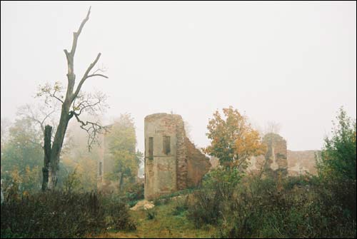  -  Замок Сапегов, руины. Руины замка Сапегов в Гольшанах