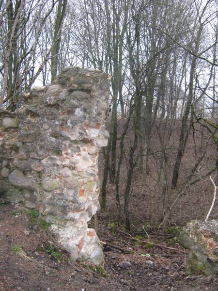 Gieraniony.  Zamek, ruiny
