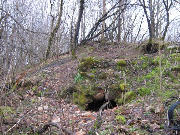 Gieraniony.  Zamek, ruiny