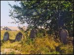 Lipniški cemetery Jewish