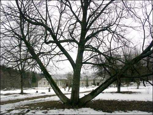 Rajca. Manor of Putkamier