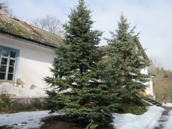 Rajca. Manor of Putkamier