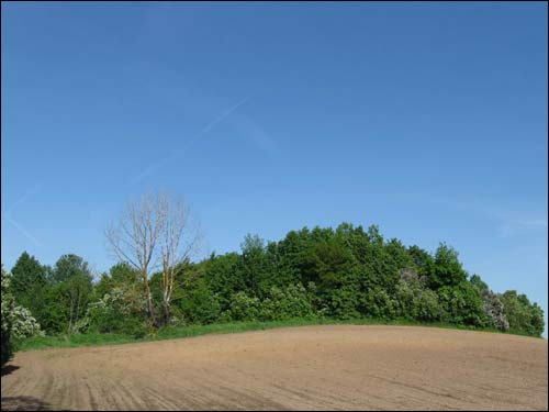 Сэрвач. Капліца-пахавальня Несялоўскіх