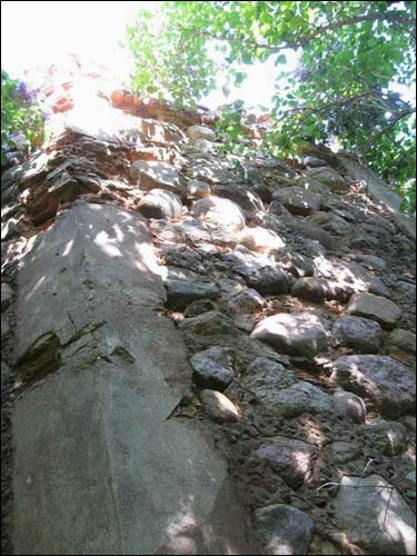 Сэрвач. Капліца-пахавальня Несялоўскіх