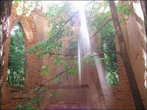 Сэрвач. Капліца-пахавальня Несялоўскіх