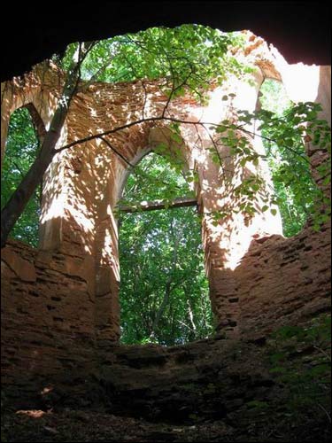 Сэрвач. Капліца-пахавальня Несялоўскіх