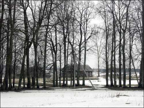 Varonča. In the village 