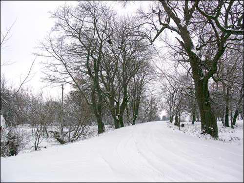 Dzikuški. Manor of Grabowski